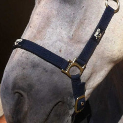 Crème réparatrice ANIMADERM - CUTENE™