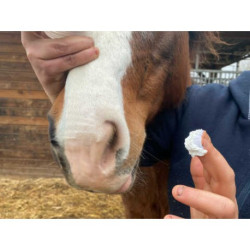 Protection solaire ANIMADERM - SOLAREN