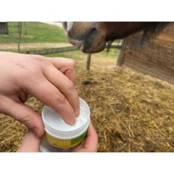 Protection solaire ANIMADERM - SOLAREN