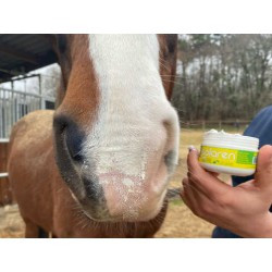 Protection solaire ANIMADERM - SOLAREN