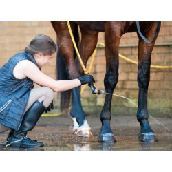 Shampooing ANIMADERM - TEA TREE