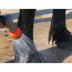 Shampooing ANIMADERM - TEA TREE