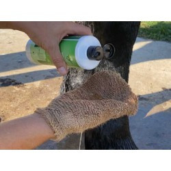 Shampooing ANIMADERM - TEA TREE