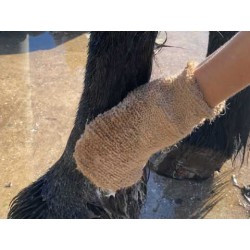 Shampooing ANIMADERM - TEA TREE