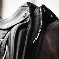 Amortisseur BACK ON TRACK® - Aurora