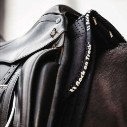 Amortisseur BACK ON TRACK® - Aurora