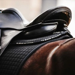 Amortisseur BACK ON TRACK® - Aurora