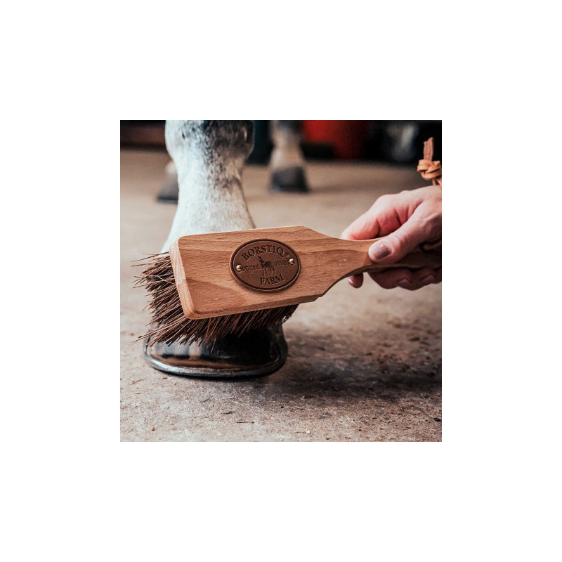 Brosse à sabots BORSTIQ - Islandaise