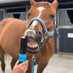 Crème apaisante CARR & DAY & MARTIN - Wound Cream