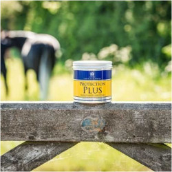 Crème de protection CARR & DAY & MARTIN - Protection Plus
