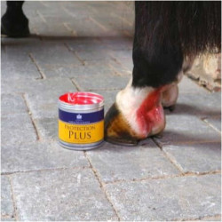 Crème de protection CARR & DAY & MARTIN - Protection Plus