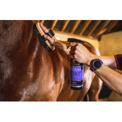 Lustrant CARR & DAY & MARTIN - Dreamcoat