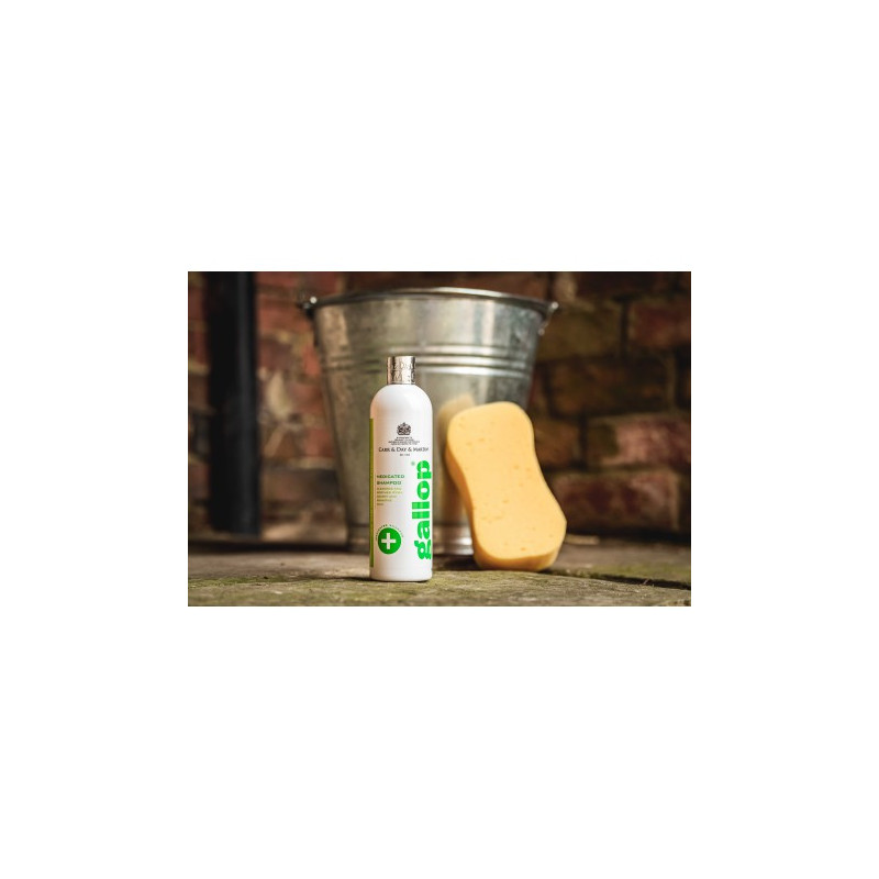 Shampoing antibactérien Gallop® CARR & DAY & MARTIN