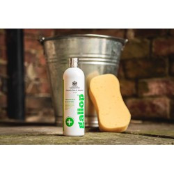 Shampoing antibactérien Gallop® CARR & DAY & MARTIN