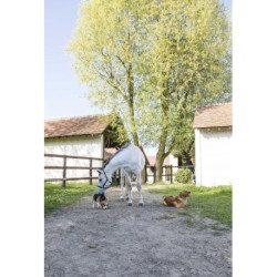 Collier cuir naturel DIEGO & LOUNA