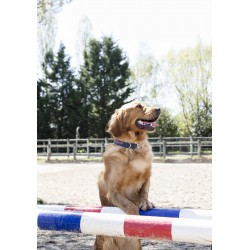 Collier nylon DIEGO & LOUNA