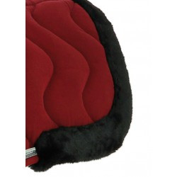 Amortisseur EQUITHÈME - Jump Pro