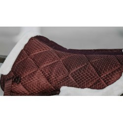 Amortisseur EQUITHÈME - Pro air