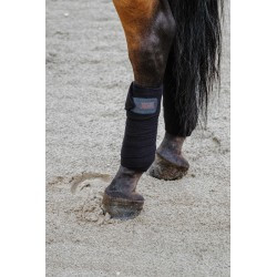 Bandes de polo EQUITHÈME