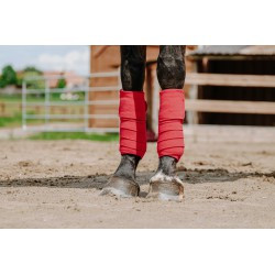 Bandes de polo EQUITHÈME