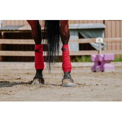 Bandes de polo EQUITHÈME