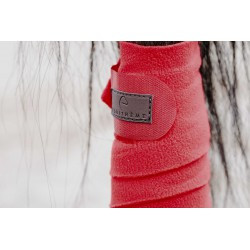 Bandes de polo EQUITHÈME