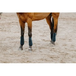 Bandes de polo EQUITHÈME