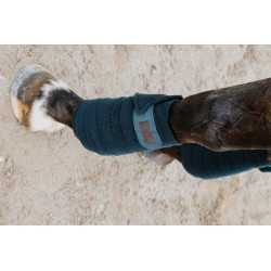 Bandes de polo EQUITHÈME