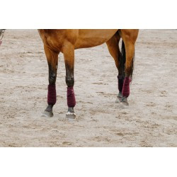 Bandes de polo EQUITHÈME