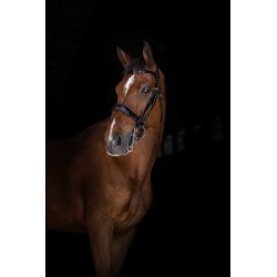 Bride ERIC THOMAS ELITE