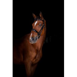 Bride ERIC THOMAS ELITE