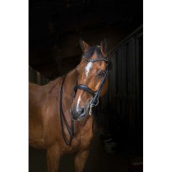 Bride ERIC THOMAS HYBRID