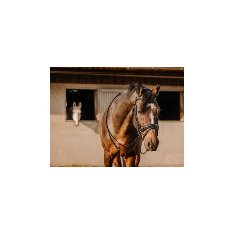 Bridon ERIC THOMAS - Bat