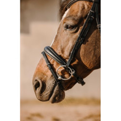 Bridon ERIC THOMAS - Bat