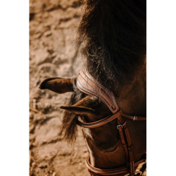 Bridon ERIC THOMAS - Crown