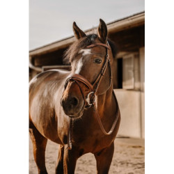 Bridon ERIC THOMAS - Visby