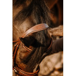 Bridon ERIC THOMAS - Work