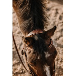 Bridon ERIC THOMAS - Work