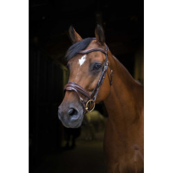 Bridon ERIC THOMAS PRO - Design