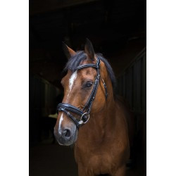 Bridon ERIC THOMAS PRO - Design