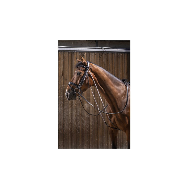 Chambon ERIC THOMAS PRO