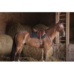 Collier de chasse ERIC THOMAS HYBRID