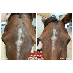 Savon anti démangeaison KEVIN BACON'S - Active Soap