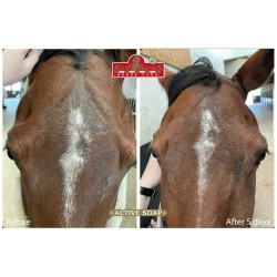 Savon anti démangeaison KEVIN BACON'S - Active Soap