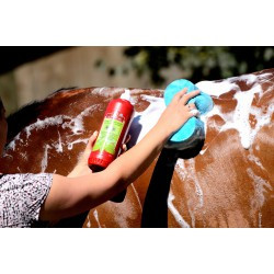 Shampoing KEVIN BACON'S - Lucy Diamonds