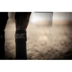 Bandes de polo LAMI-CELL - Venus 3,5m