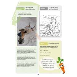 Mon Cahier d'Activités LAVAUZELLE - Niveau CE1