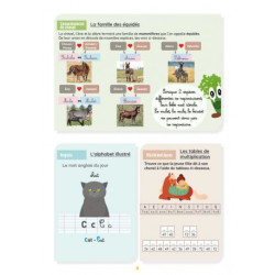 Mon Cahier d'Activités LAVAUZELLE - Niveau CM2