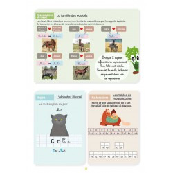 Mon Cahier d'Activités LAVAUZELLE - Niveau CM2