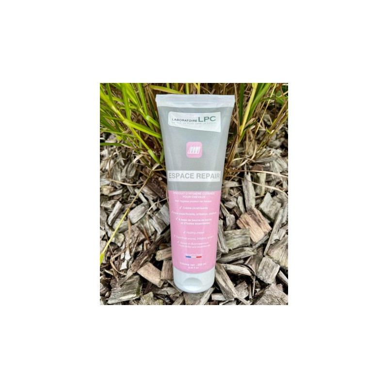 Espace Repair LPC